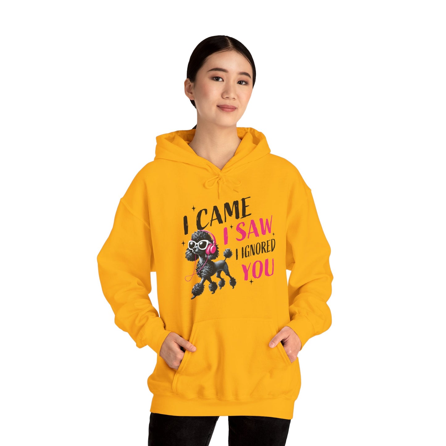 I Came I Saw I Ignored You Hoodie — Funny Dog Poodle Graphic Pullover Hooded Sweatshirt