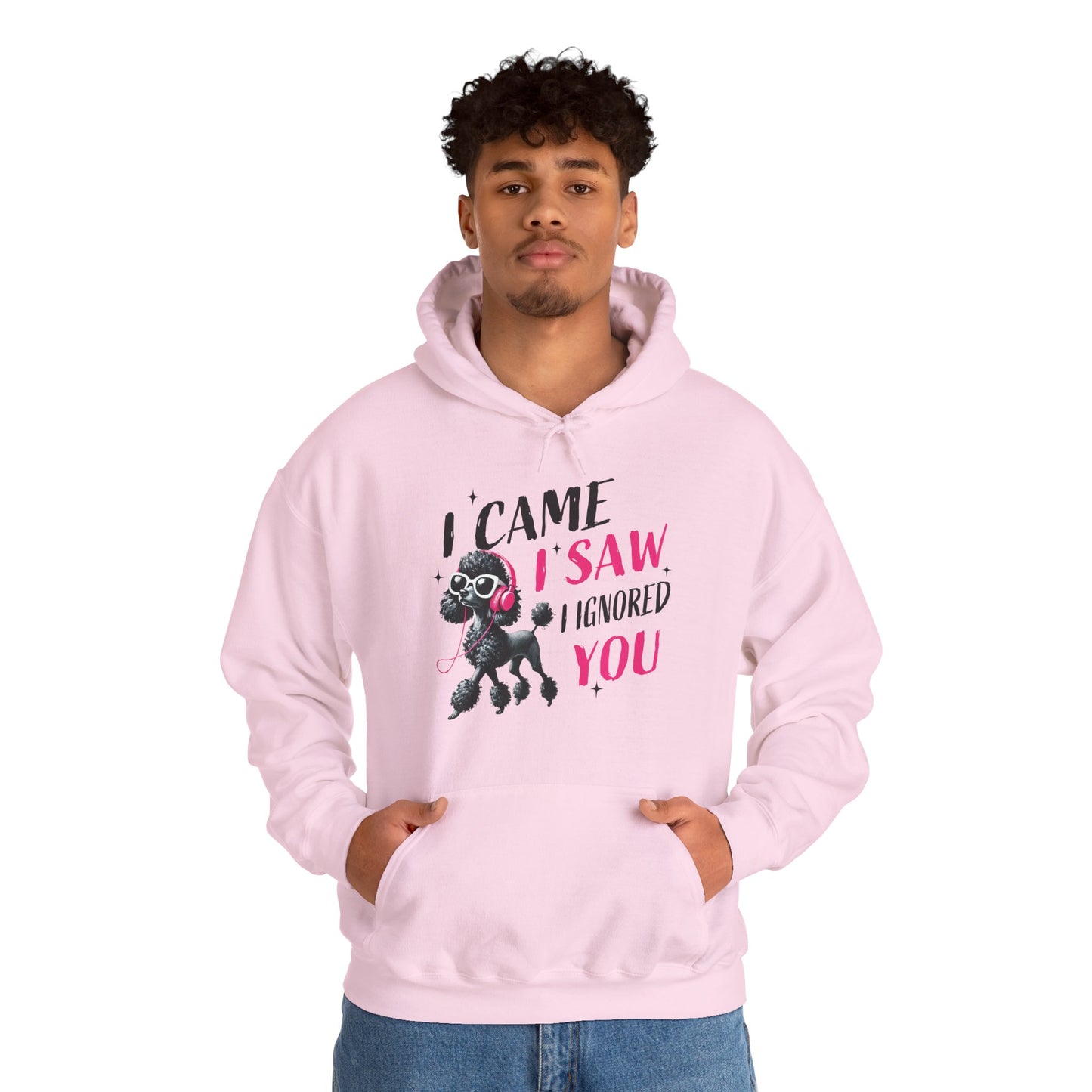 I Came I Saw I Ignored You Hoodie — Funny Dog Poodle Graphic Pullover Hooded Sweatshirt