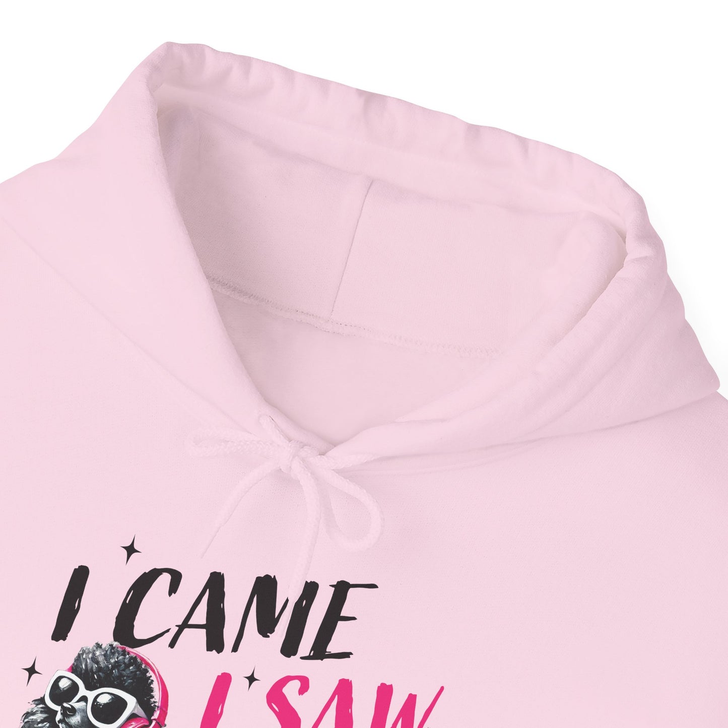 I Came I Saw I Ignored You Hoodie — Funny Dog Poodle Graphic Pullover Hooded Sweatshirt