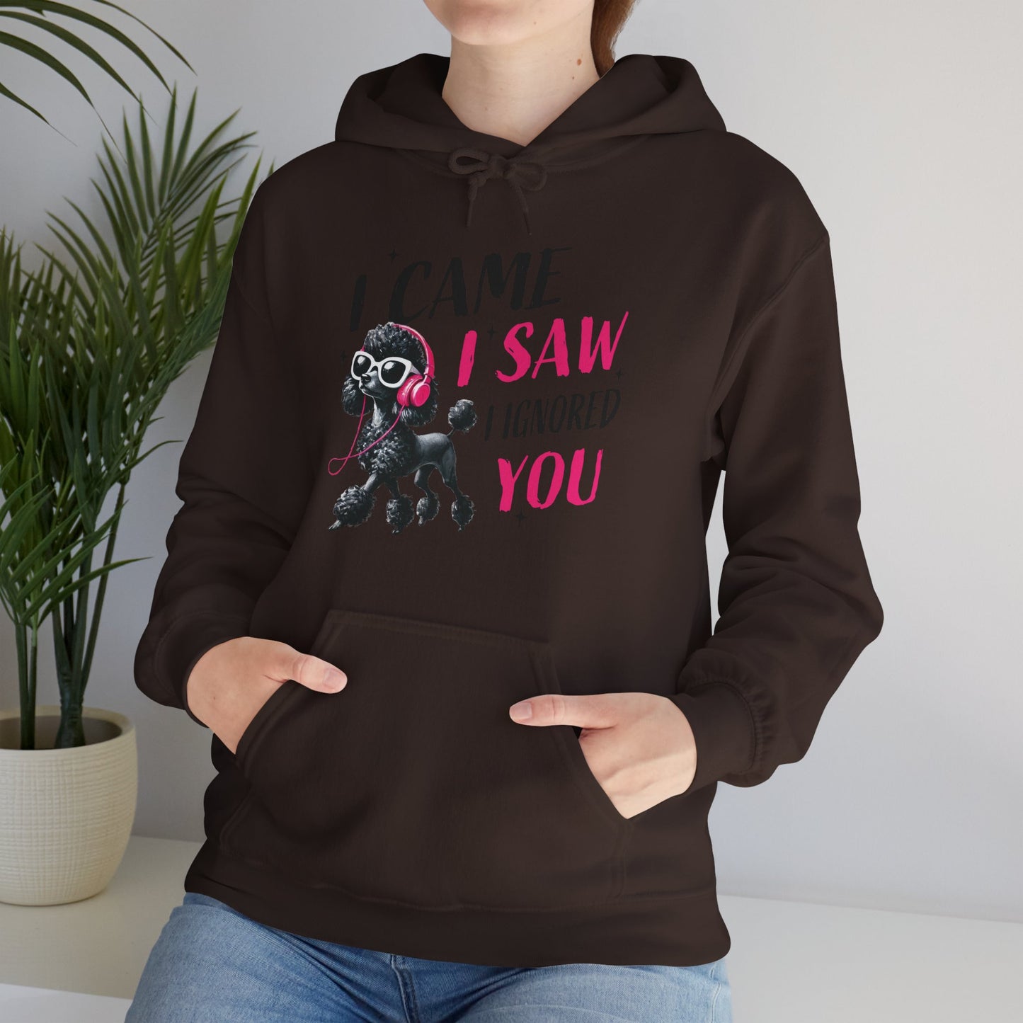 I Came I Saw I Ignored You Hoodie — Funny Dog Poodle Graphic Pullover Hooded Sweatshirt
