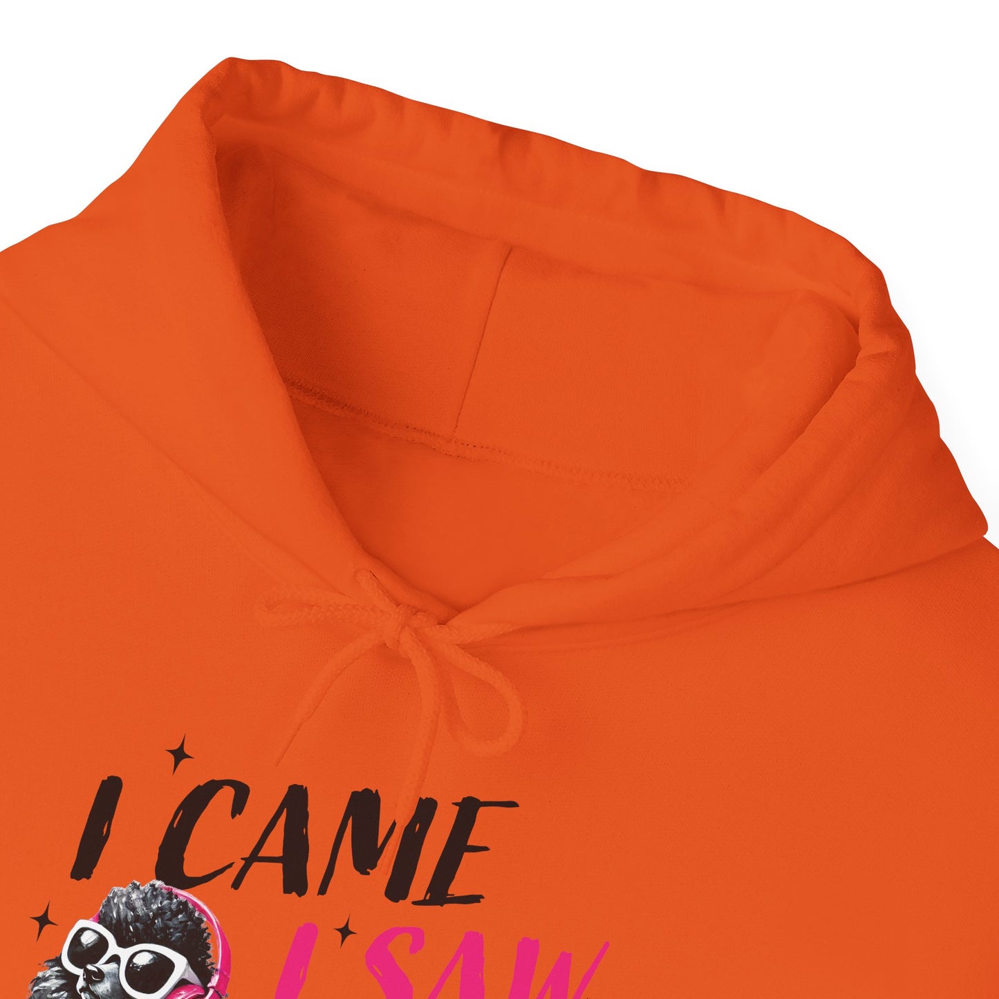 I Came I Saw I Ignored You Hoodie — Funny Dog Poodle Graphic Pullover Hooded Sweatshirt