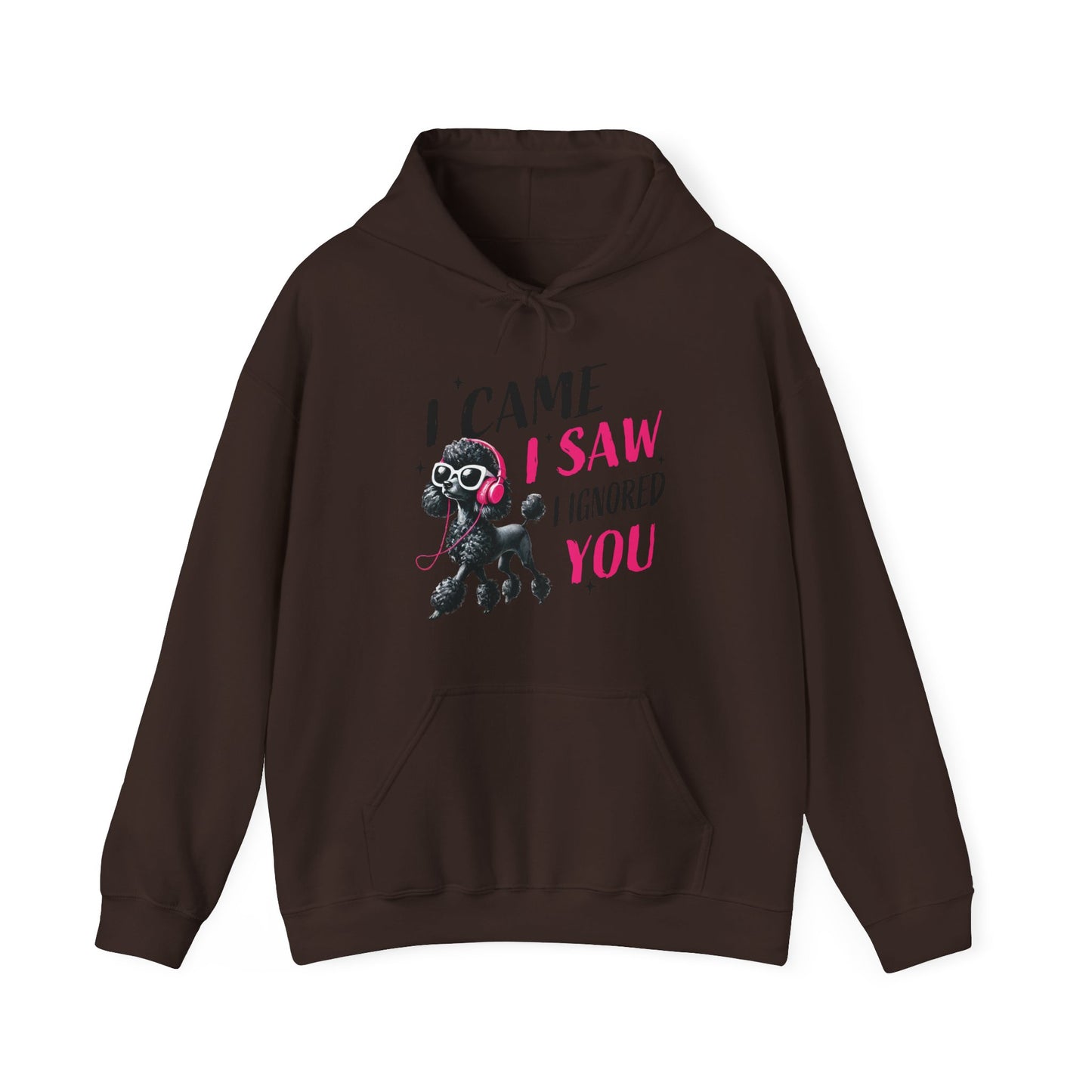 I Came I Saw I Ignored You Hoodie — Funny Dog Poodle Graphic Pullover Hooded Sweatshirt