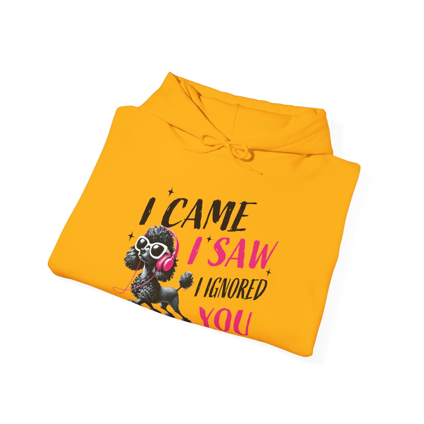 I Came I Saw I Ignored You Hoodie — Funny Dog Poodle Graphic Pullover Hooded Sweatshirt