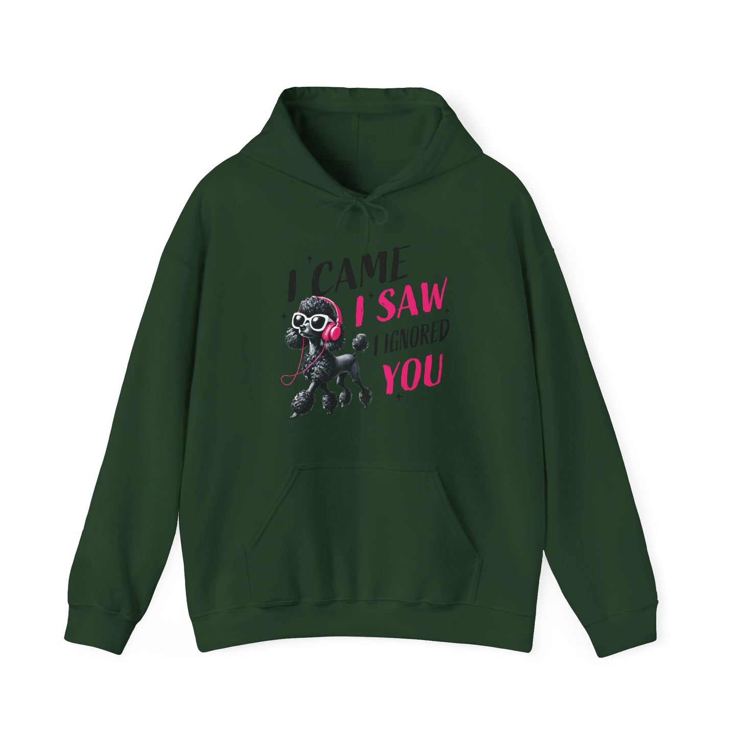 I Came I Saw I Ignored You Hoodie — Funny Dog Poodle Graphic Pullover Hooded Sweatshirt